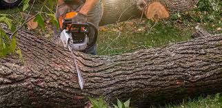 Best Lawn Grading and Leveling  in Painted Post, NY