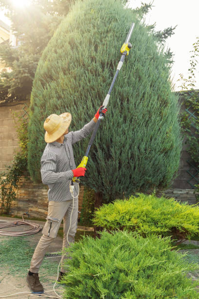 Best Artificial Turf Installation  in Painted Post, NY